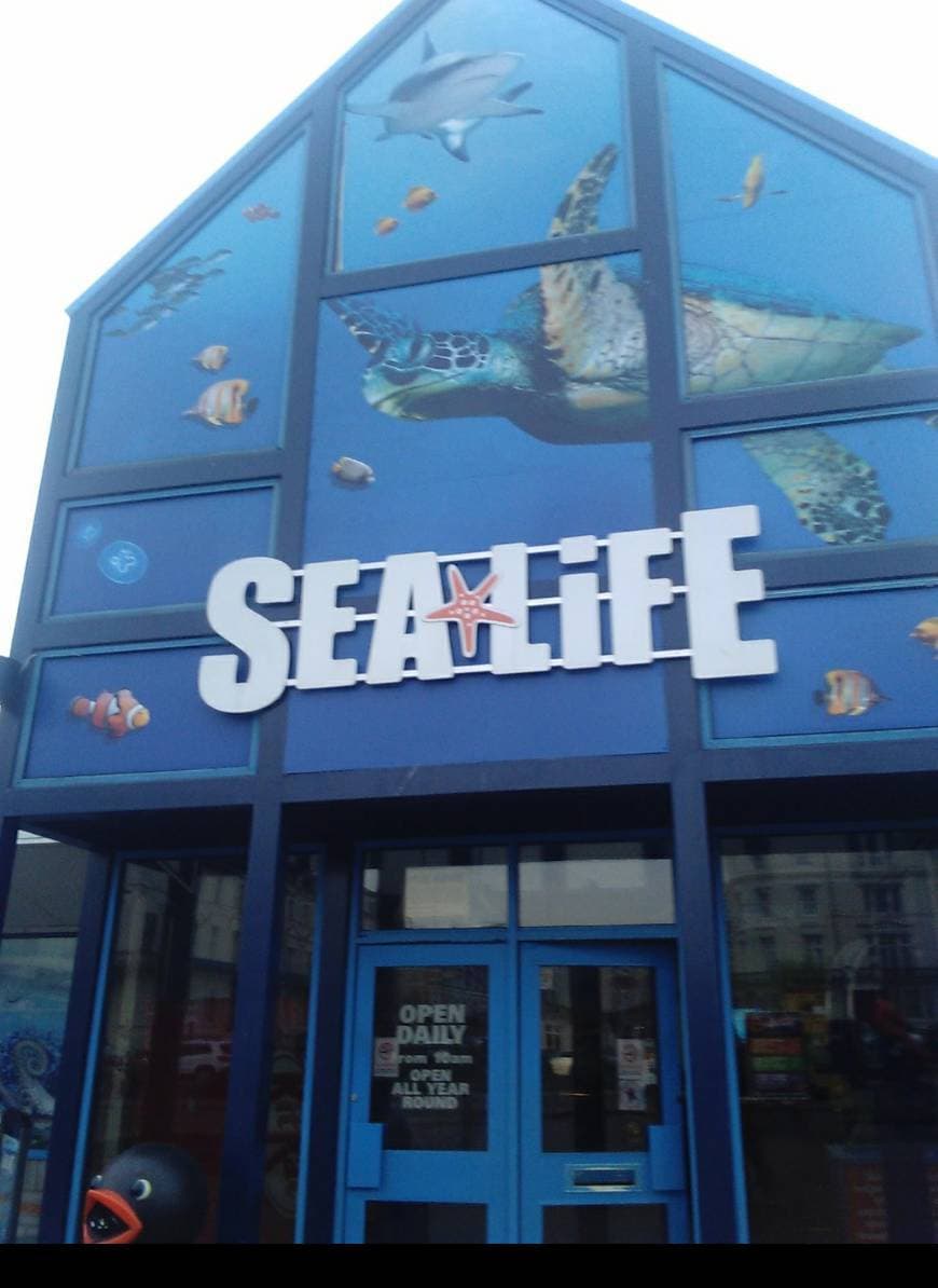 Place SEA LIFE Great Yarmouth