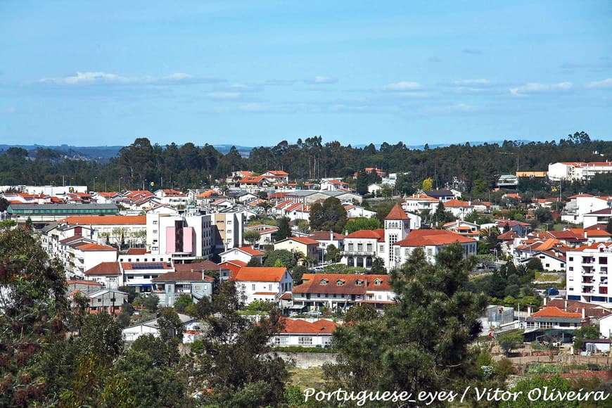 Place Tábua