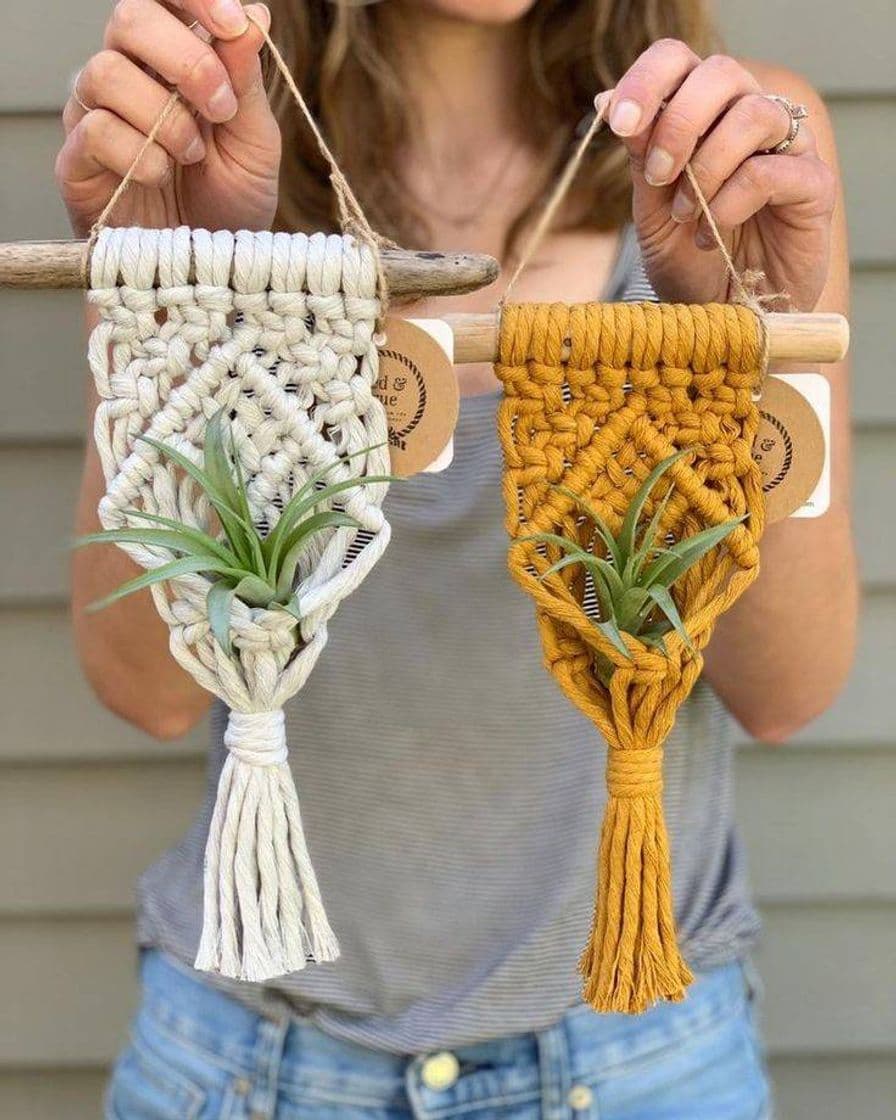 Moda Macrame plantas 