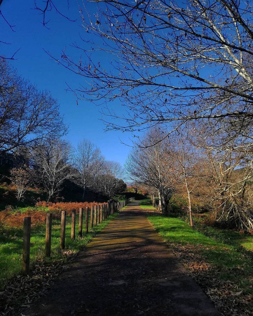 Lugar Ponte da Barca