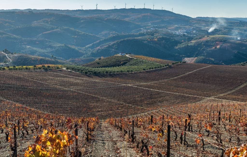 Lugar Quinta de Santa Luzia