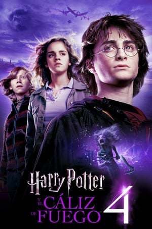 Película Harry Potter and the Goblet of Fire