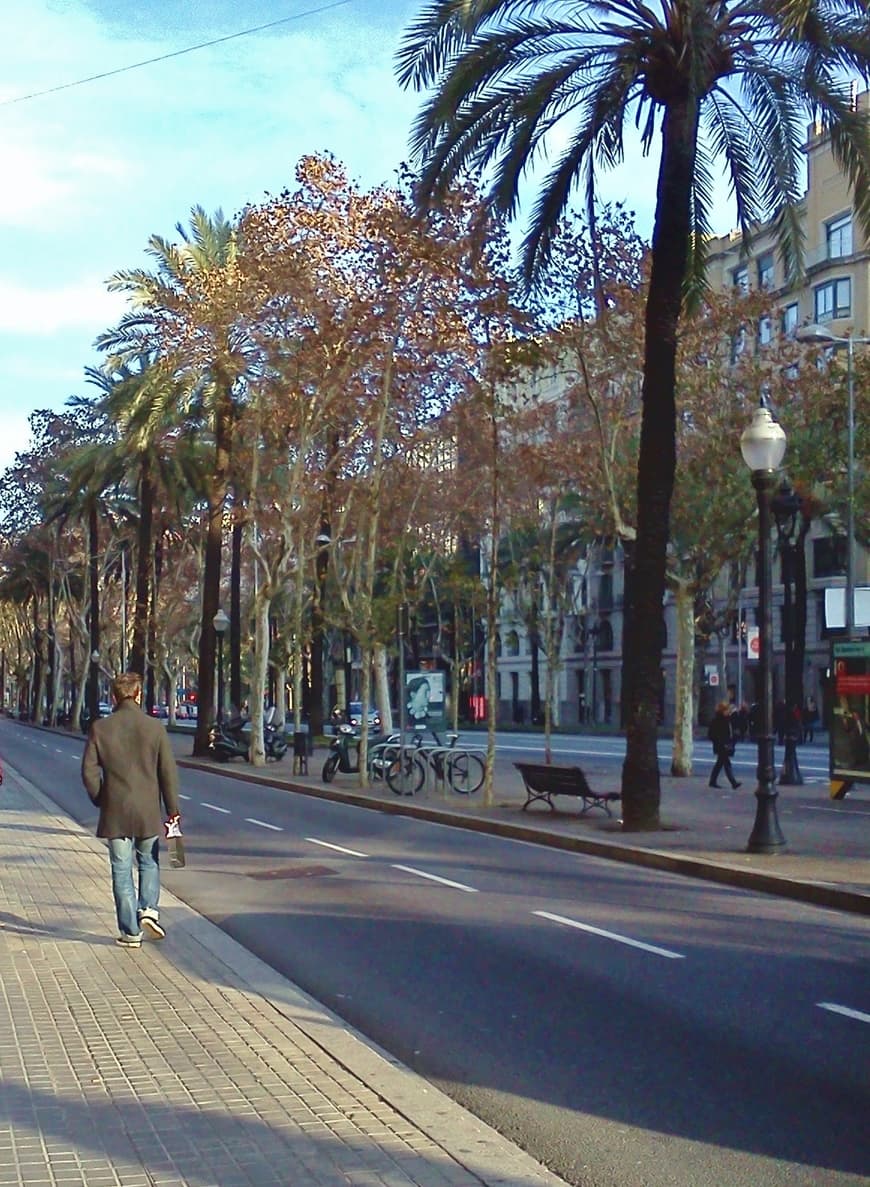 Lugar Avenida Diagonal