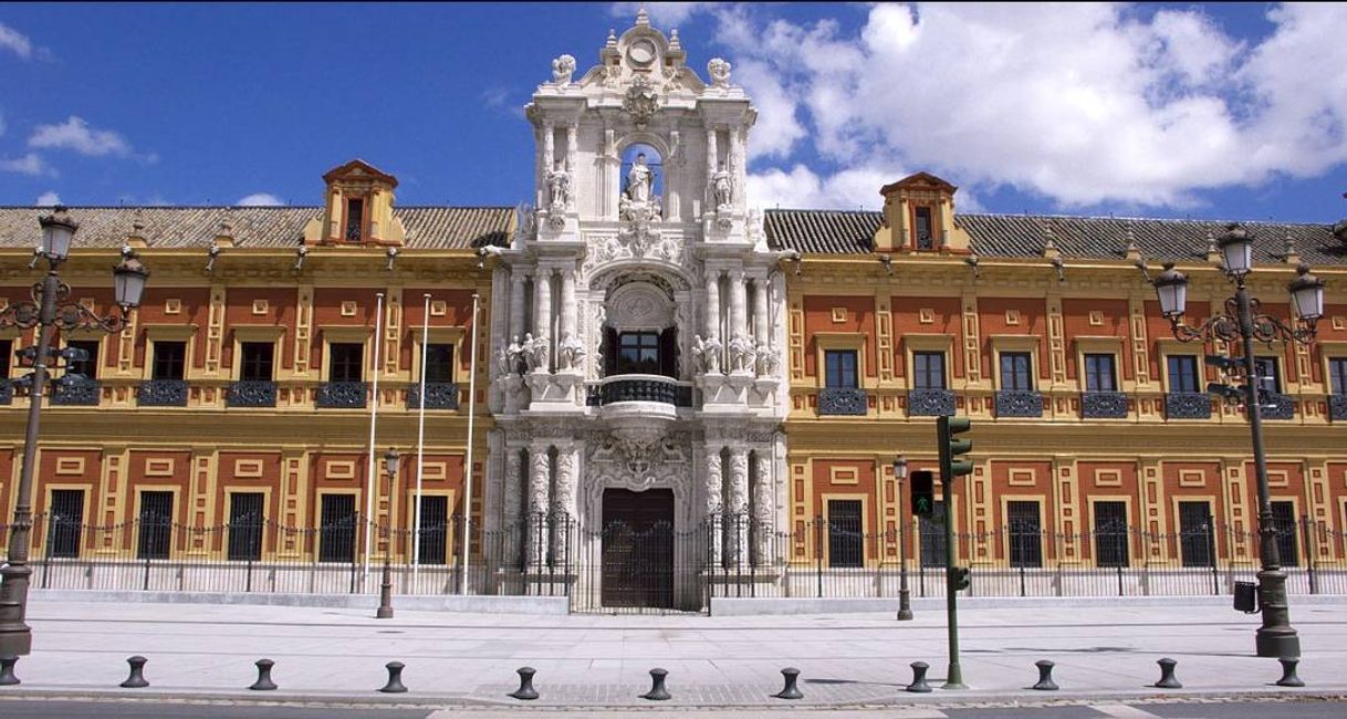 Lugar Palacio de San Telmo