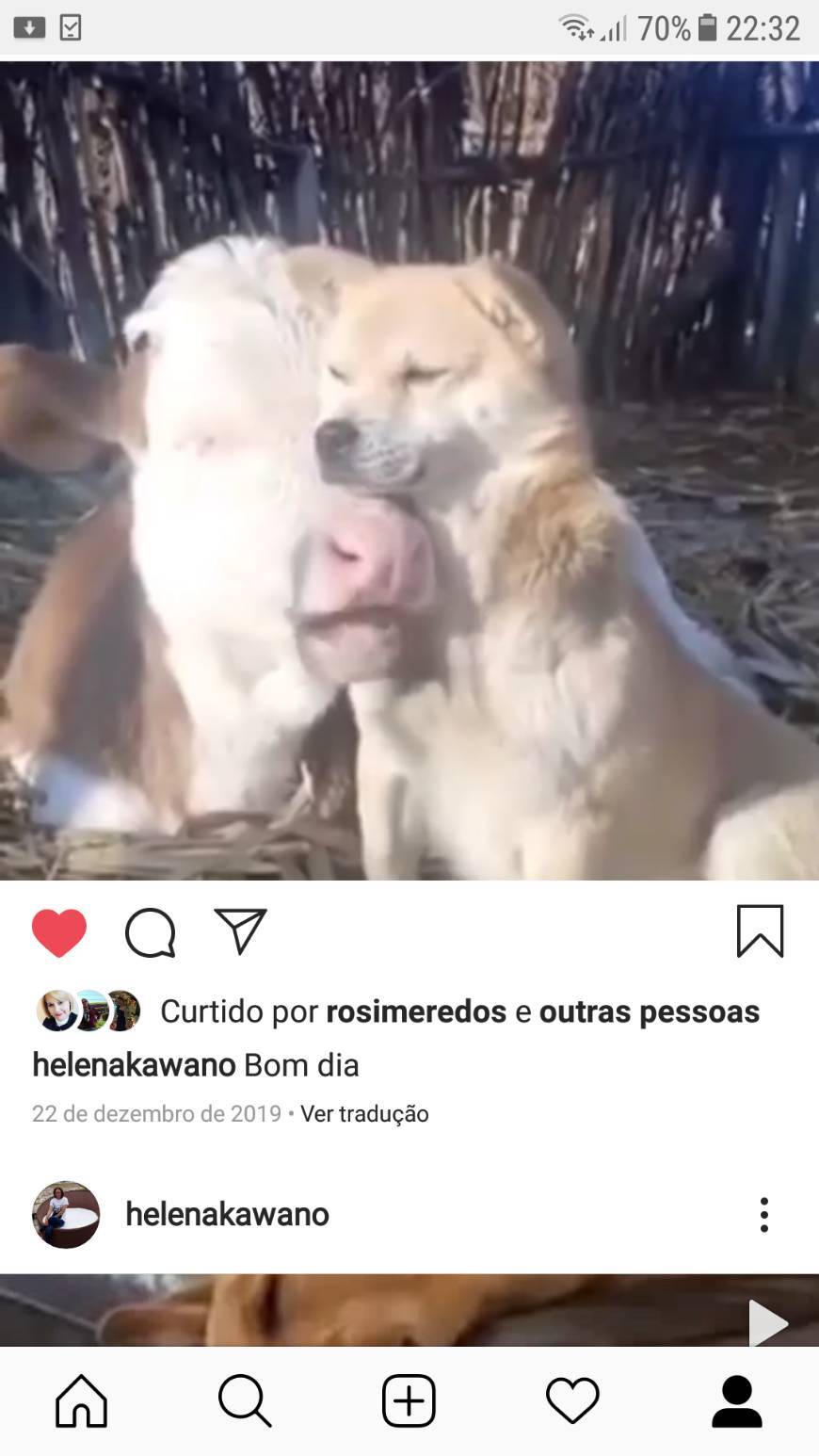 Moda Um bom dia 