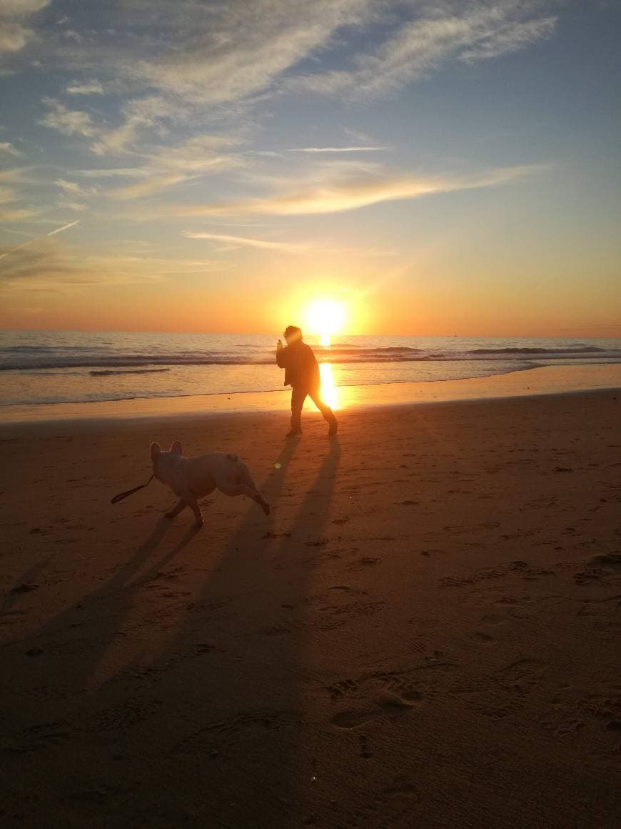 Lugar Praia da Falésia