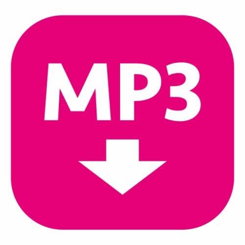 Producto MP3 Hunter – Descargar Música