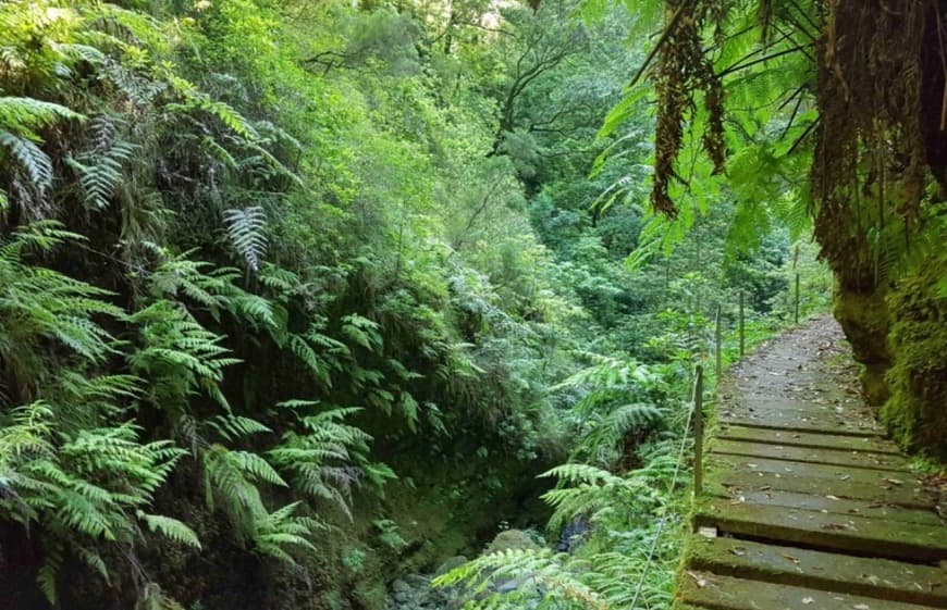 Place Levada Fajã do Rodrigues 