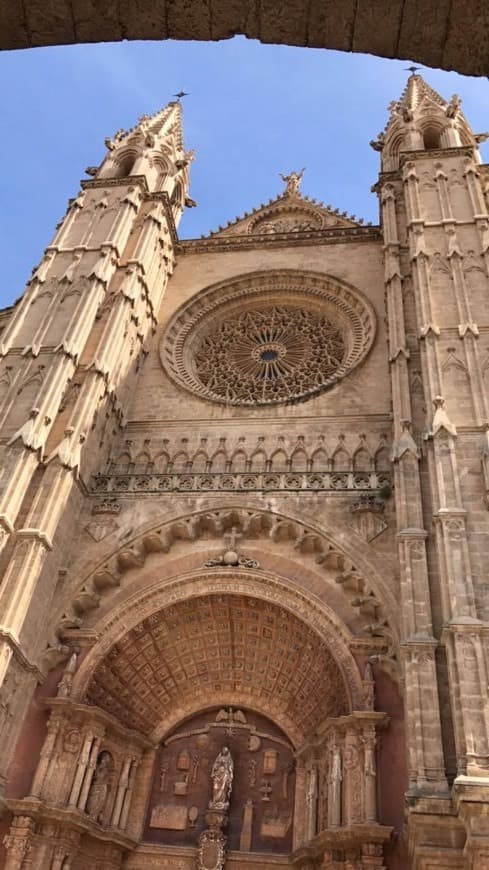 Place Catedral-Basílica de Santa María de Mallorca