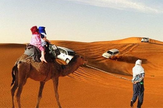 Place Desert Safari And Camel Rides