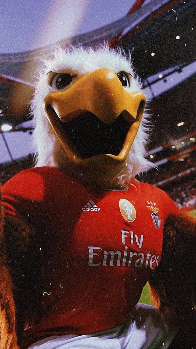 Moda Benfica Wallpaper by jaa95 on DeviantArt