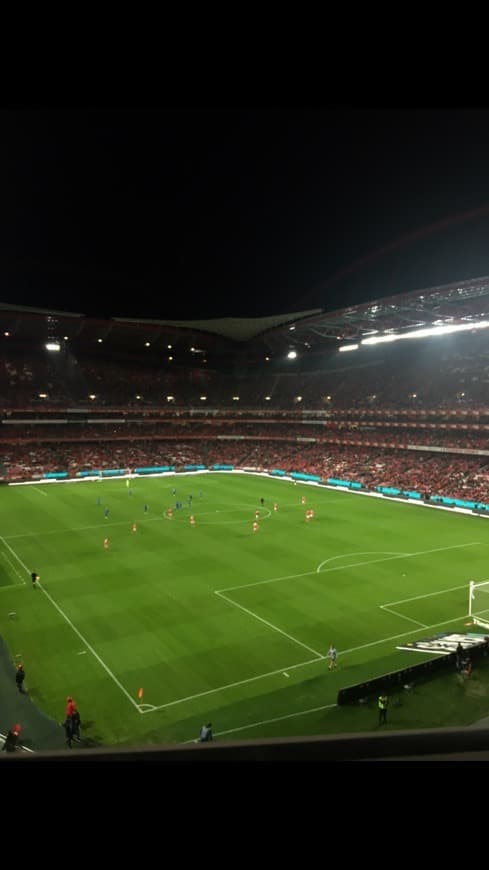 Lugar Estádio Sport Lisboa e Benfica