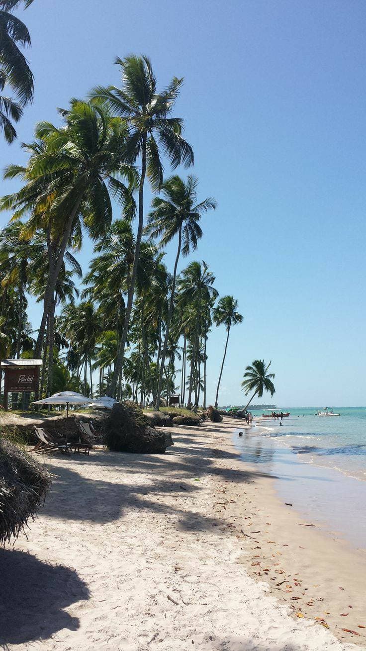 Place Porto de Galinhas