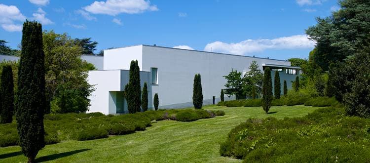 Place Museu de Serralves