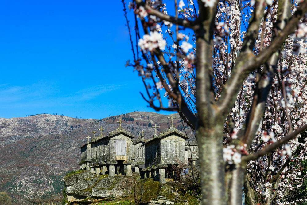 Place Soajo