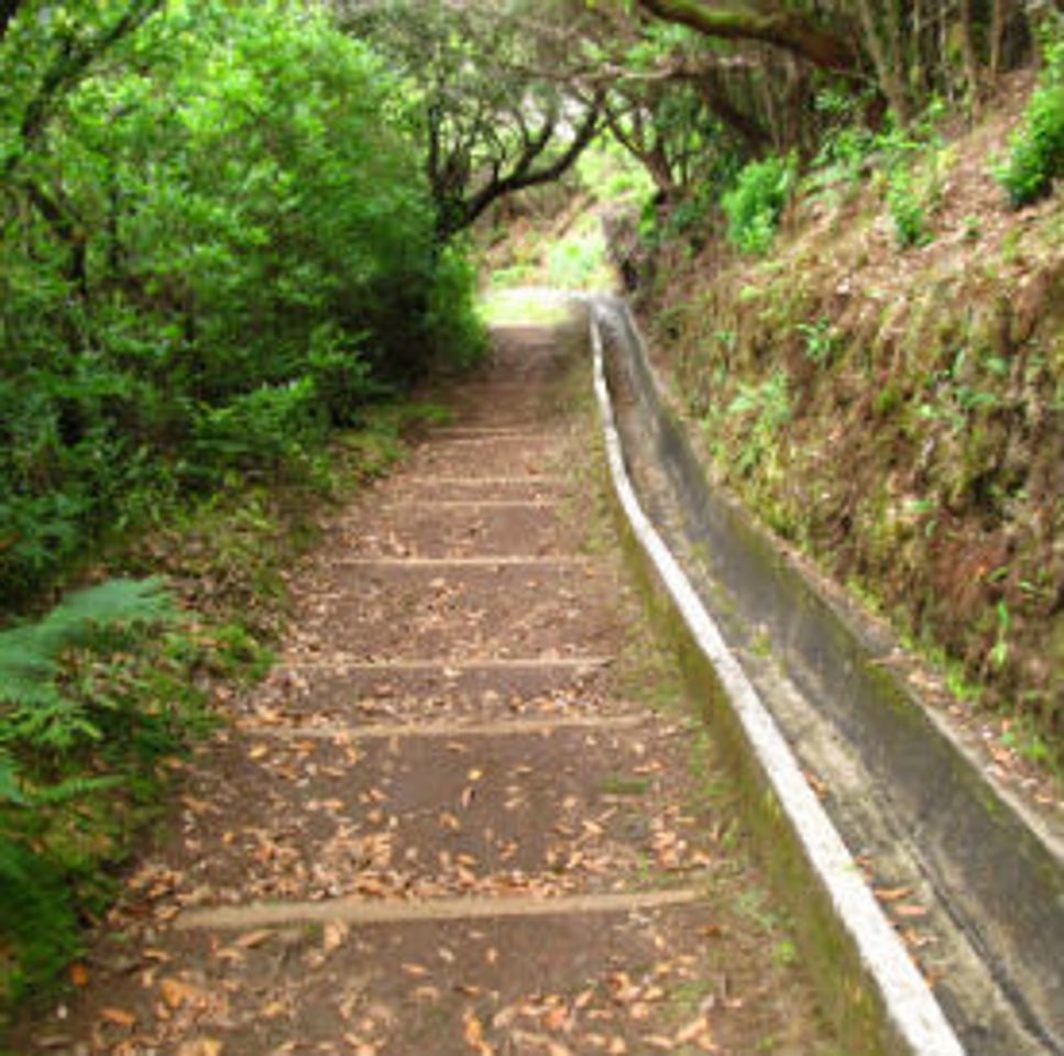 Lugar Santo da Serra - Levada da Serra do Faial