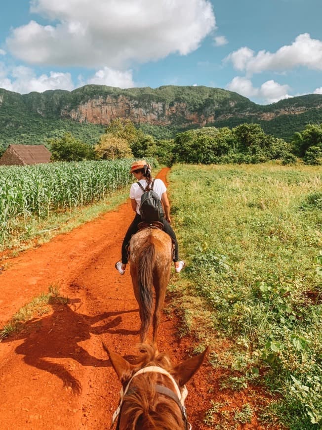 Lugar Viñales Valley