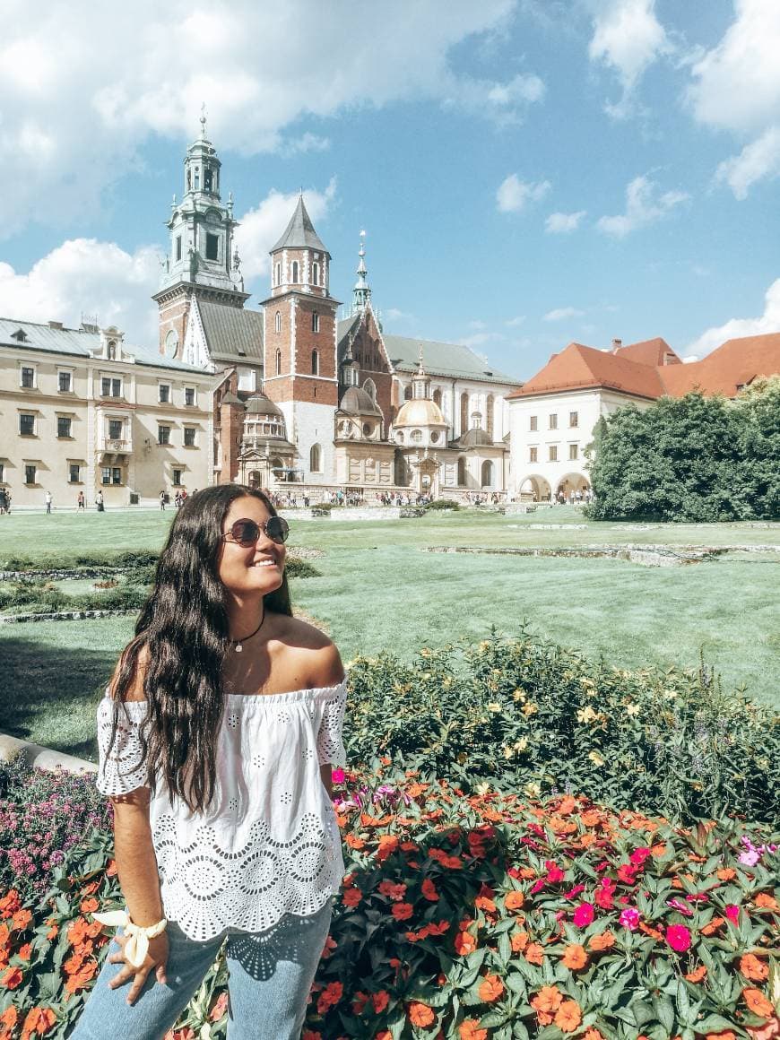 Place Castillo de Wawel