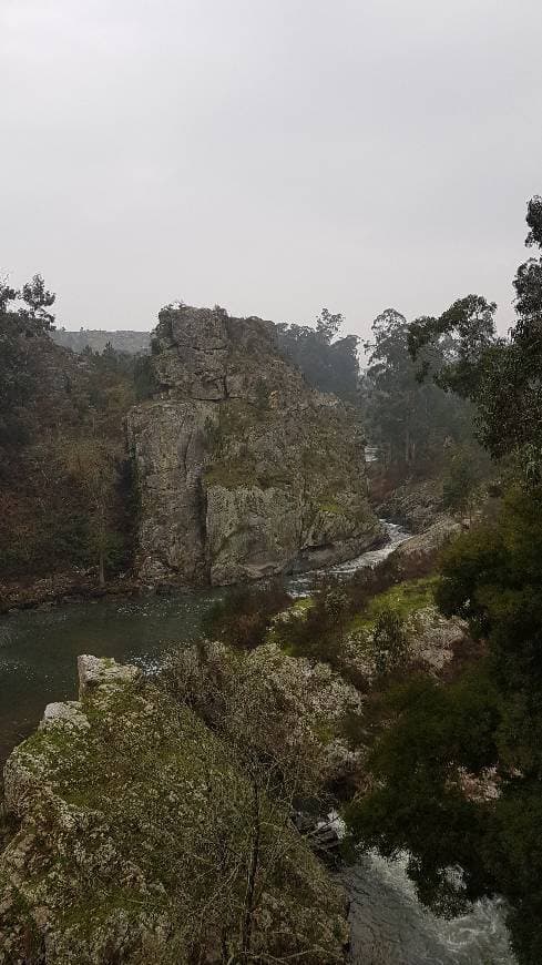 Lugar Parque das Serras do Porto