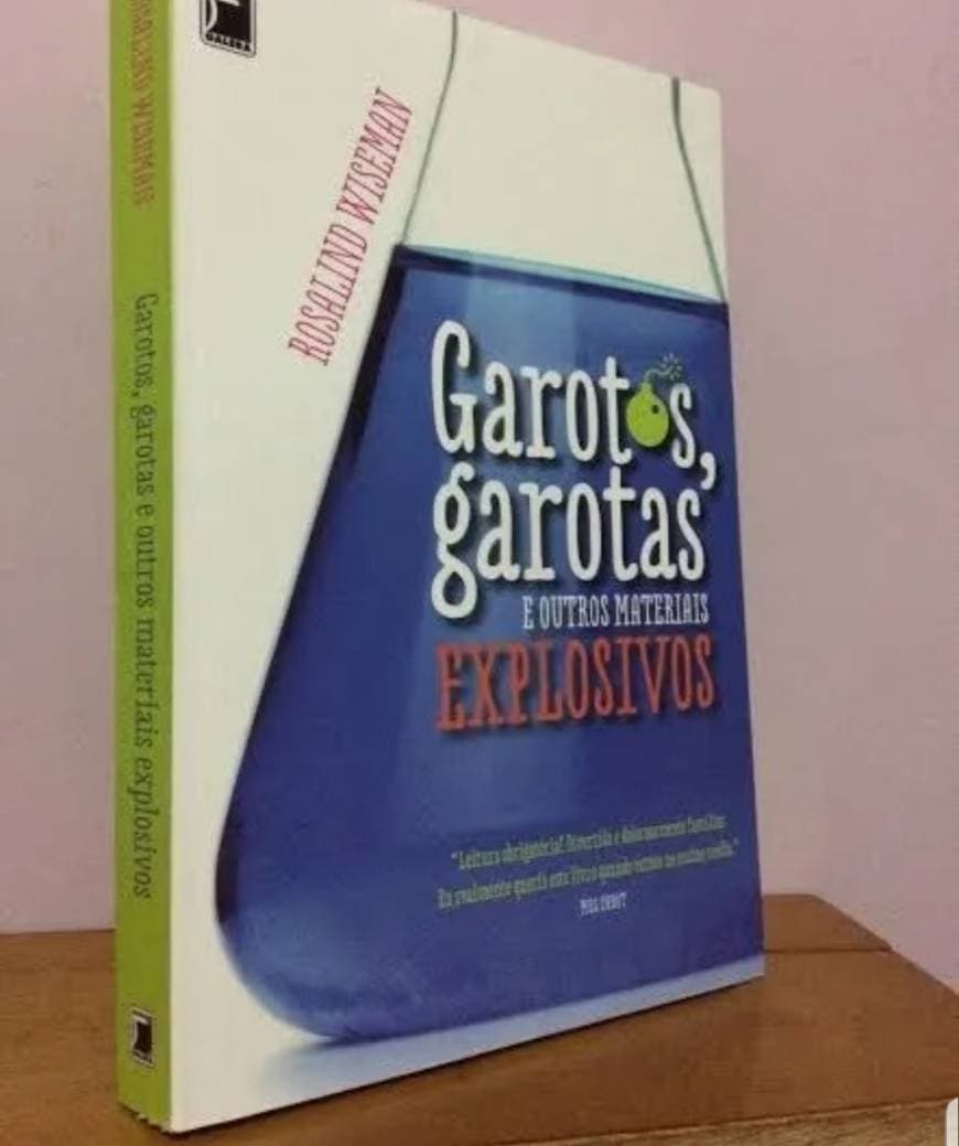 Libro Garotos e Garotas e outros materias explosivos