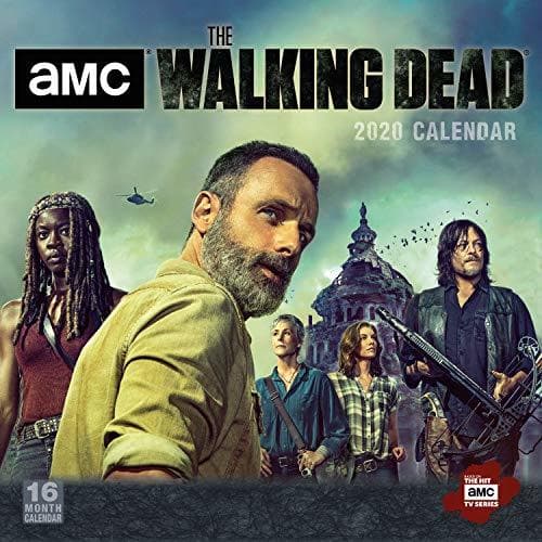 Libro Walking Dead