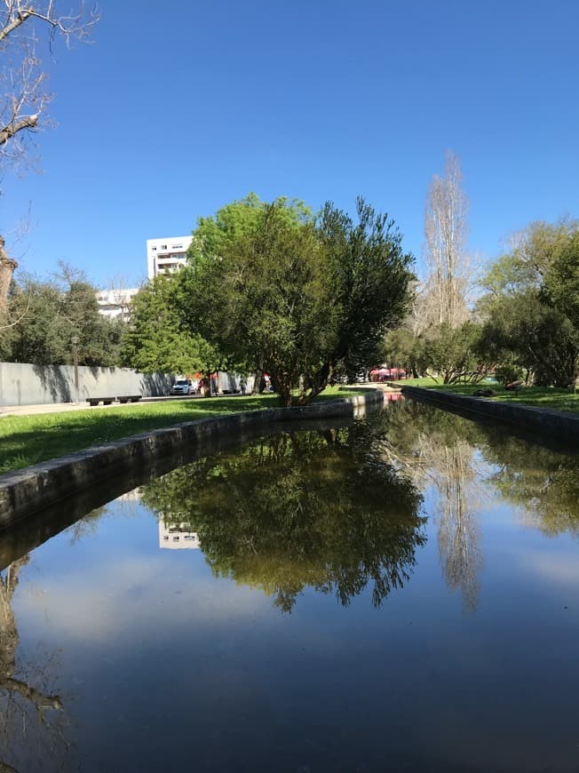 Lugar Quinta das Conchas