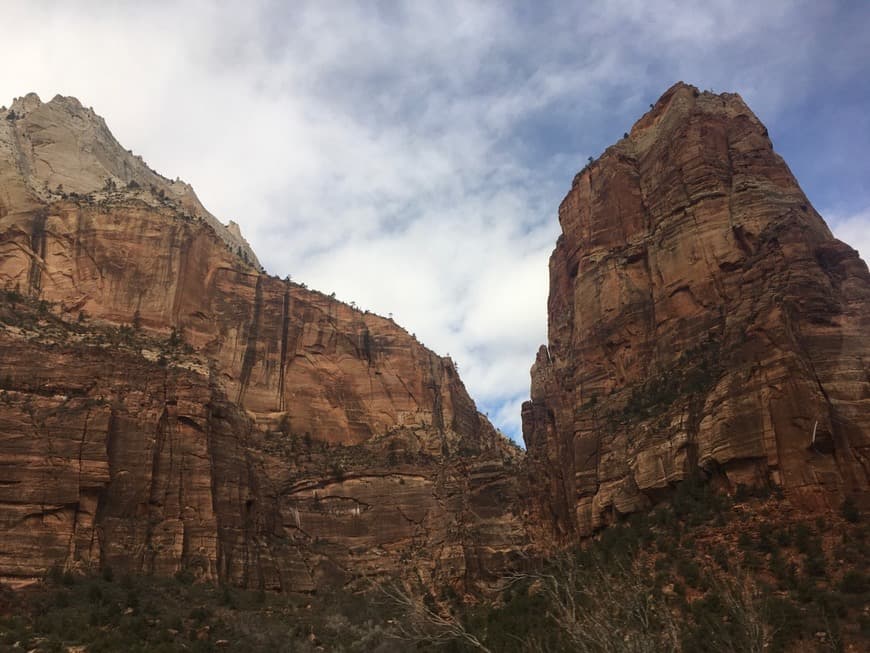 Place Zion National Park