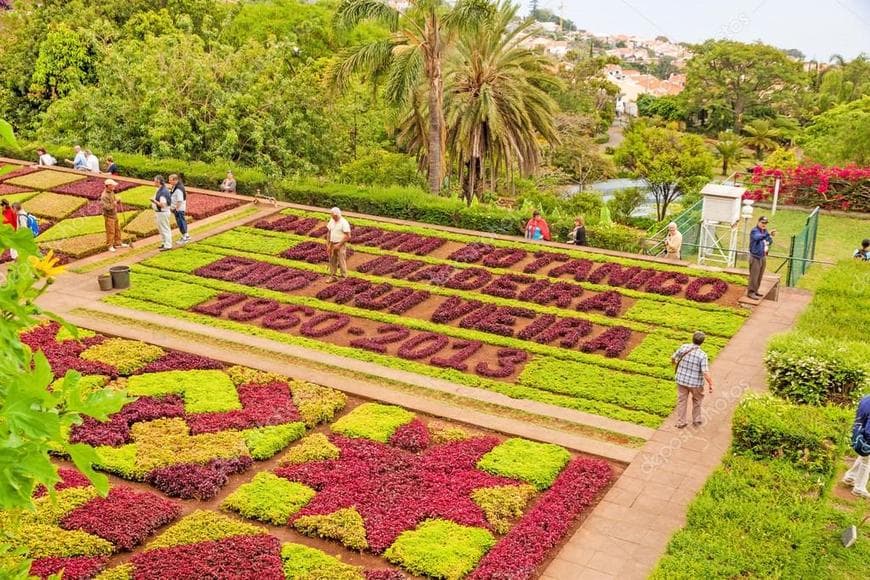 Place Jardín Botánico de Madeira