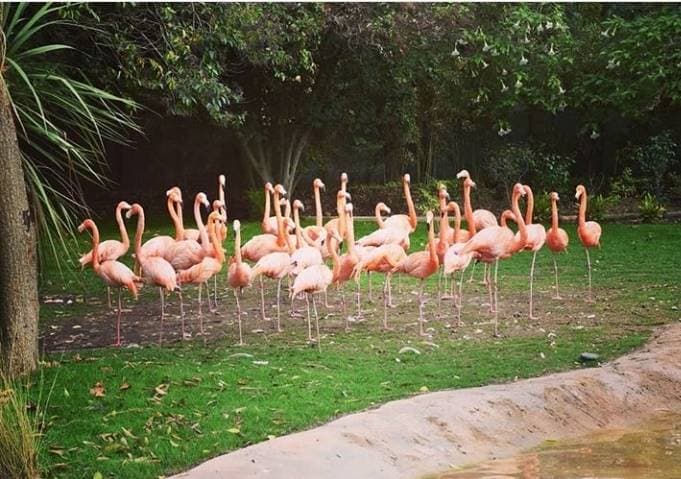 Lugar Jardim Zoológico de Lisboa