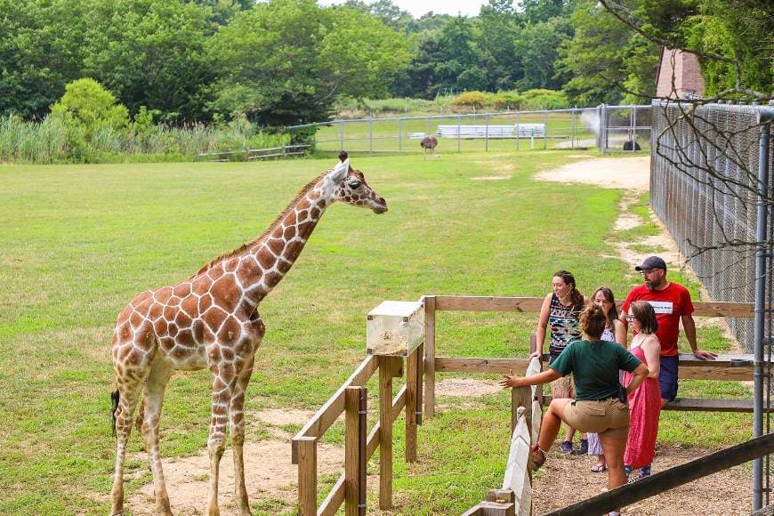 Place Cape May County Park & Zoo