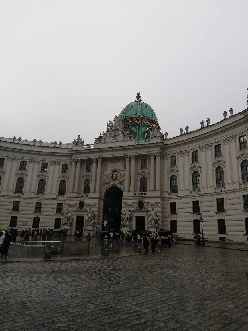 Place Hofburg Palace Silver Collection of Vienna