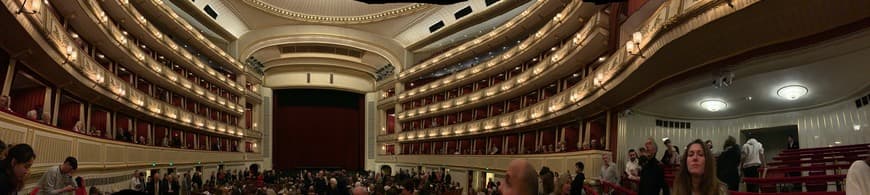 Place Vienna Operahouse