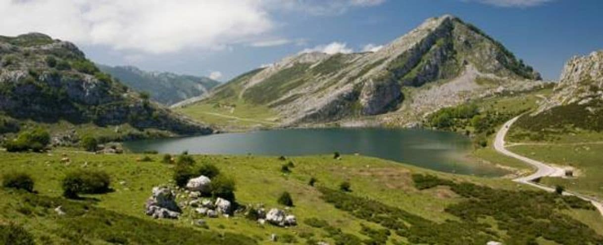 Place Picos de Europa National Park