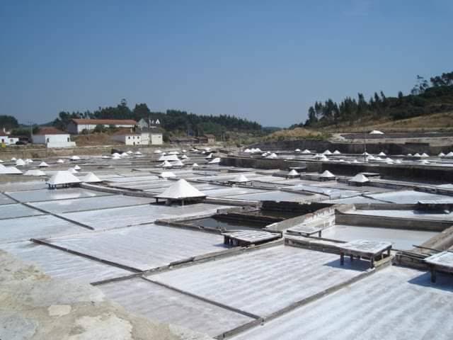 Lugar Salinas de Rio Maior