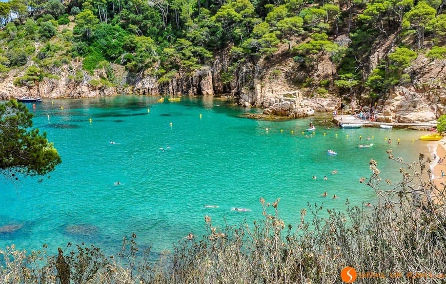 Place Playas de Begur