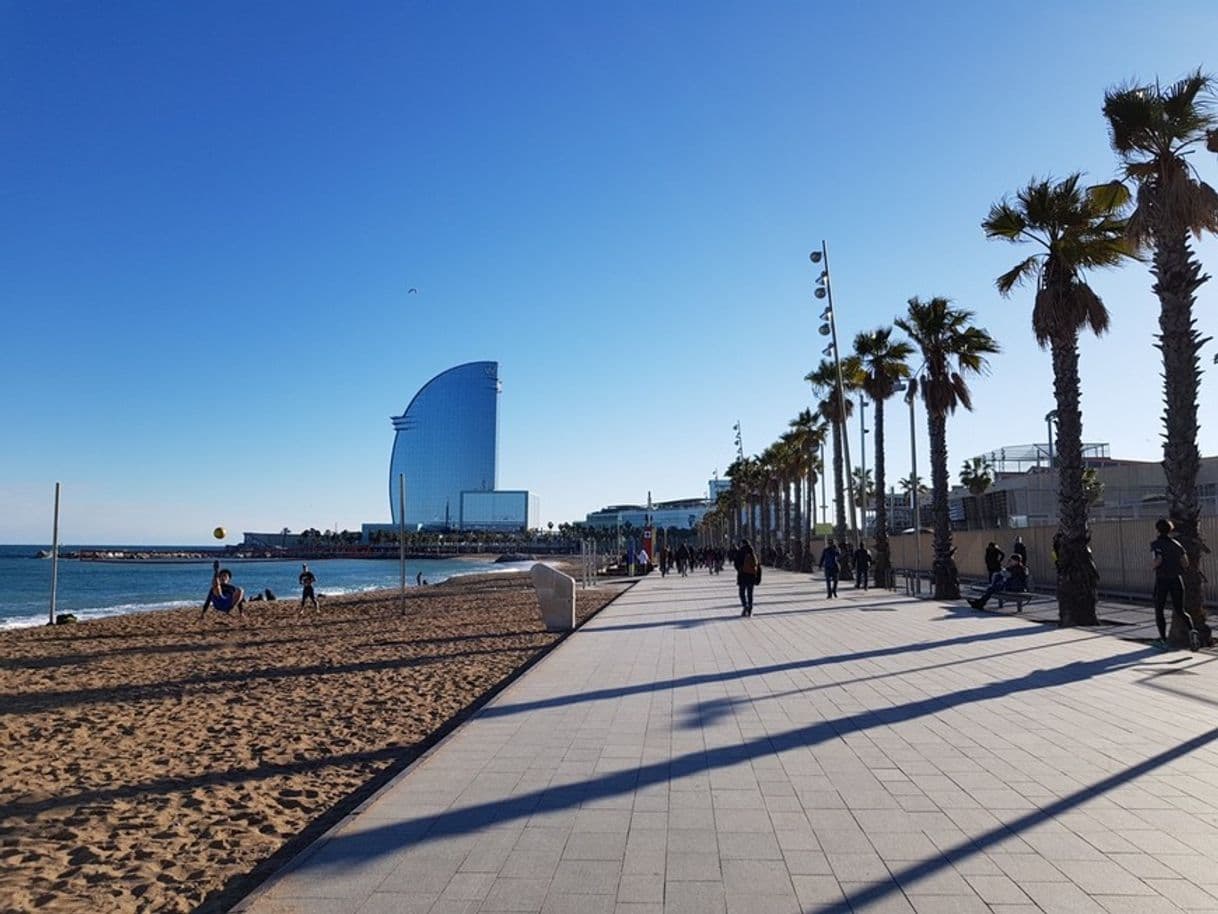 Lugar La Barceloneta