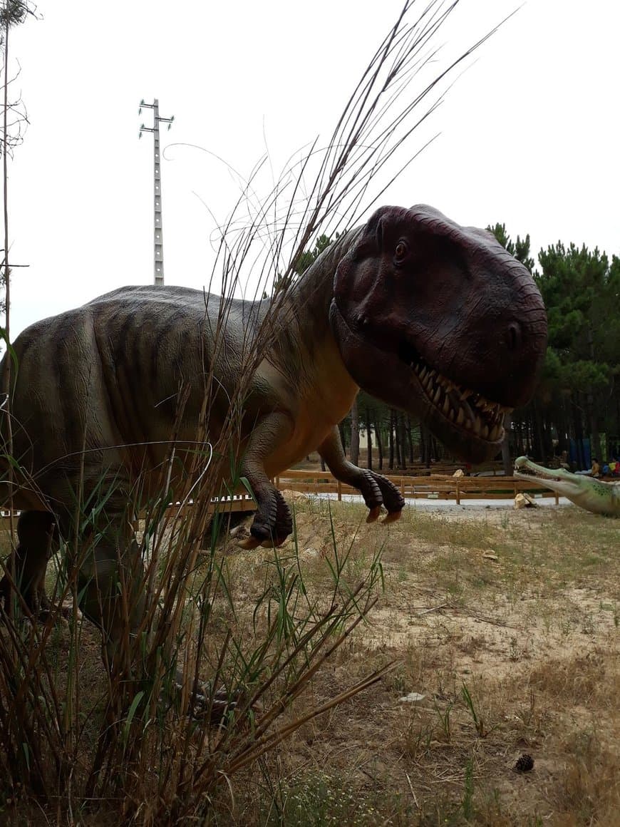 Lugar Dino Parque Lourinhã