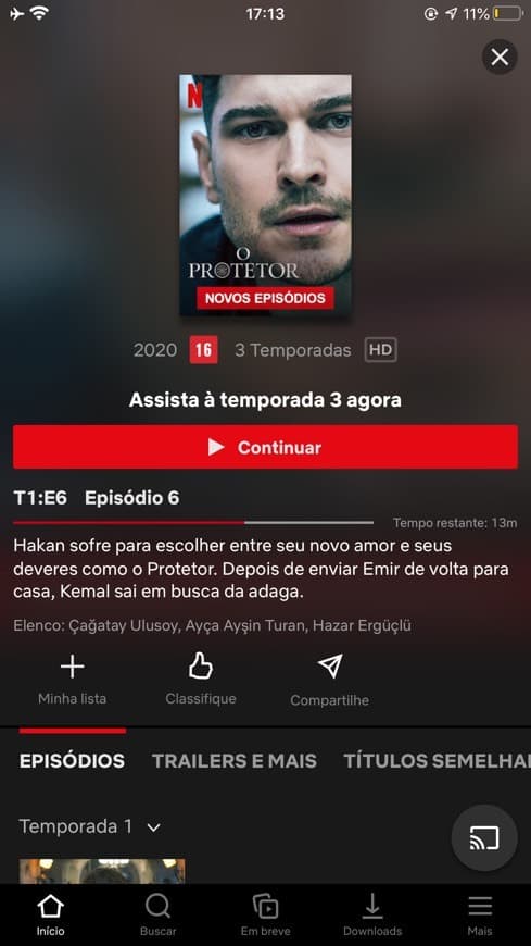 Serie The Protector