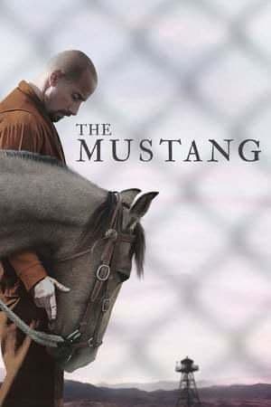 Película The Mustang