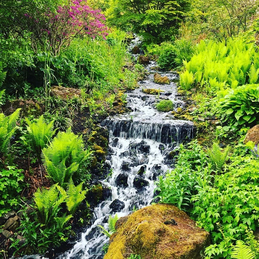 Place Real Jardín Botánico de Edimburgo