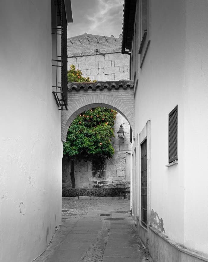 Place Judería de Cordoba