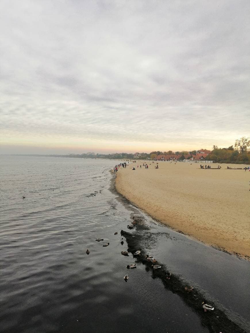 Lugar Sopot