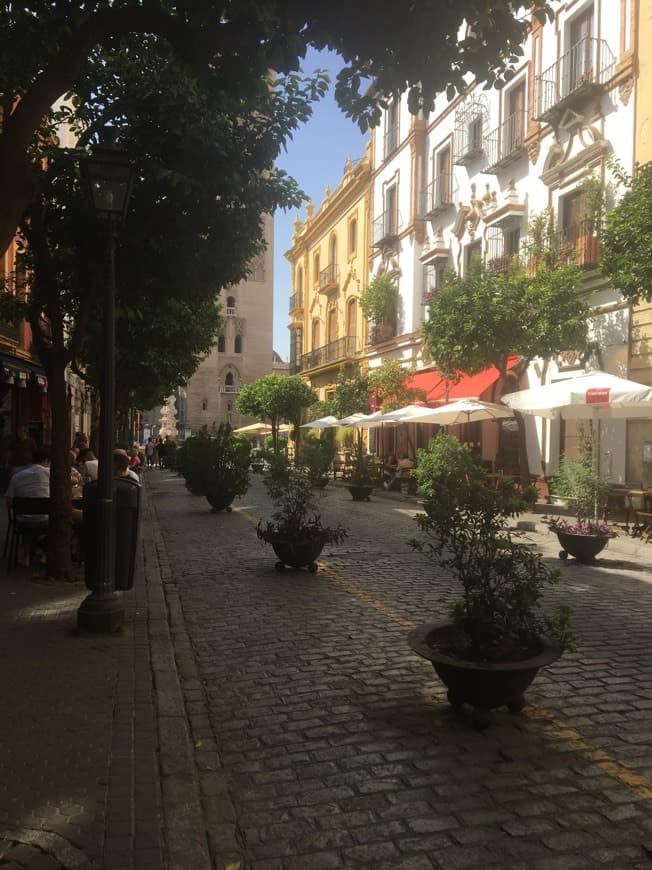 Lugar Santa Cruz, Seville