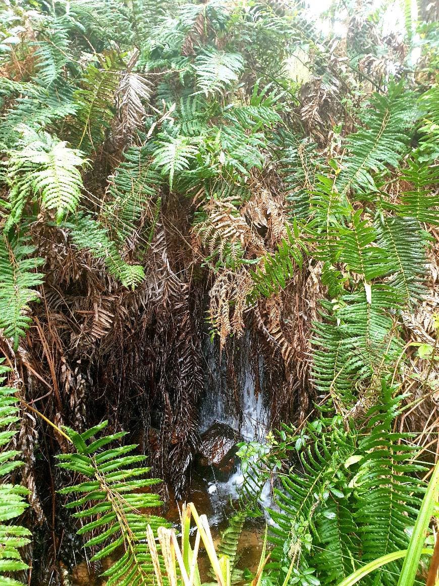 Place Sintra-Cascais Natural Park