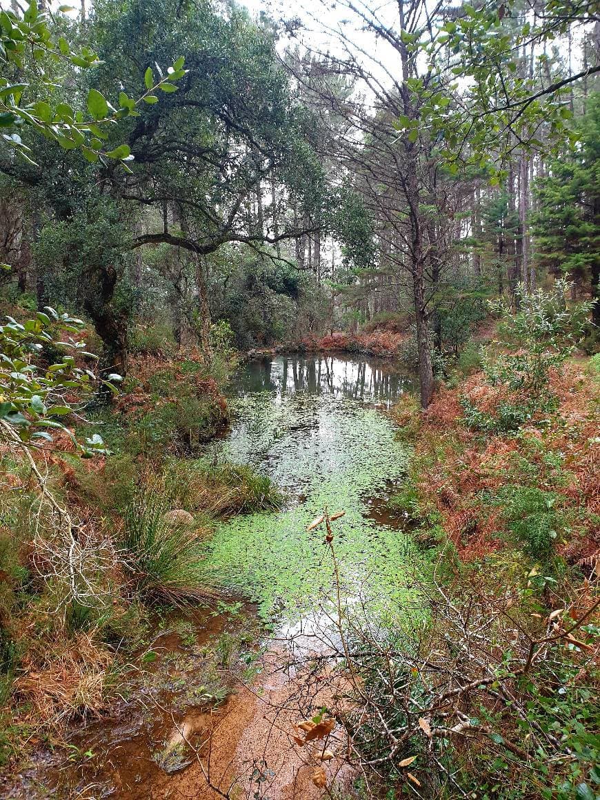 Lugar Sintra-Cascais Natural Park