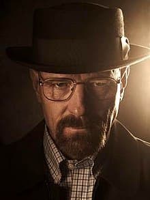 Moda Walter White