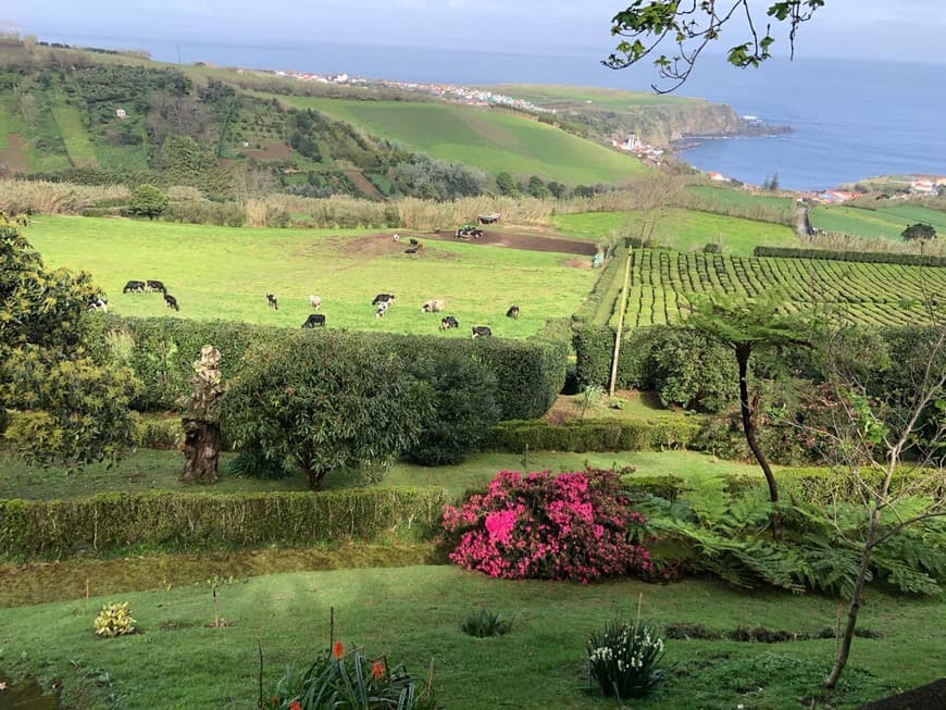 Lugar Fábrica de Chá do Porto Formoso