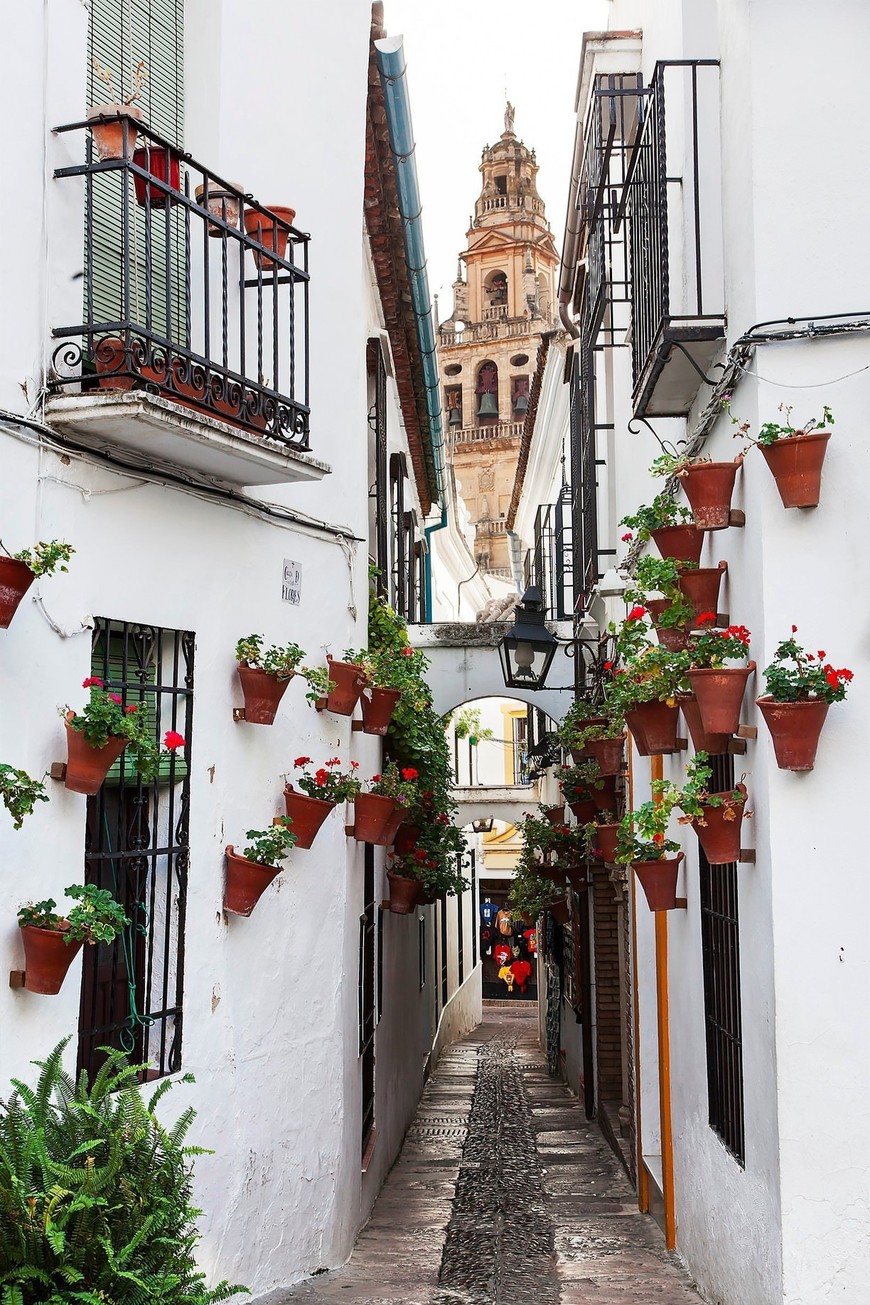 Place Calleja de las Flores