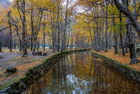 Place Parque de Merendas Serra da Estrela