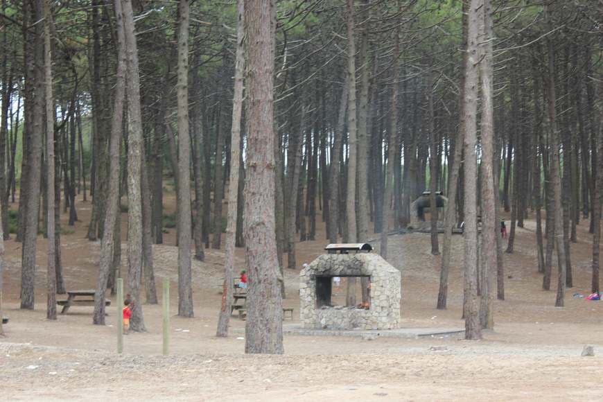 Place Parque de Merendas - Arelho